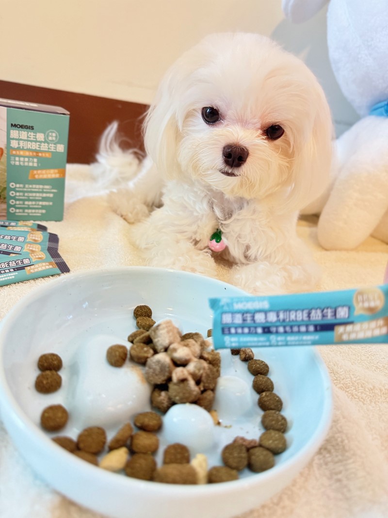 女人知己試用大隊,口碑行銷,部落客行銷,Moegis萌吉 腸道生機專利RBE益生菌,寵物益生菌,專利RBE益生元,專利蔬果酵素,小分子胜肽,藍藻粉,維持免疫力,幫助維持消化道機能,維持正常食慾,改變細菌叢生態,腸胃保健,犬貓適用